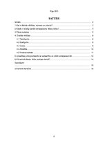 Referāts 'Policijas darbinieka ētiskās vērtības', 2.