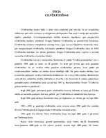 Eseja 'Cilvēktiesības', 1.