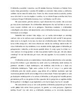 Eseja 'Cilvēktiesības', 2.