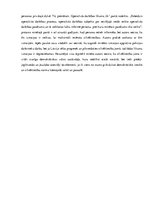 Eseja 'Cilvēktiesības', 3.