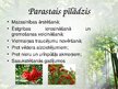 Prezentācija 'Latvijas ārstniecības augi', 3.