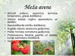 Prezentācija 'Latvijas ārstniecības augi', 7.