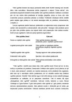 Referāts 'Vides zinātnes, vides izglītības un vides politikas pamatnostādnes Latvijā', 4.