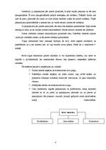 Referāts 'Ekonomikas sistēmu veidi', 4.