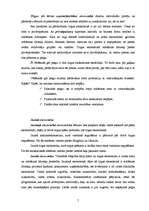 Referāts 'Ekonomikas sistēmu veidi', 5.