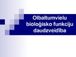Prezentācija 'Olbaltumvielu bioloģisko funkciju daudzveidība', 1.