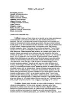 Eseja 'Moljērs "Mizantrops"', 1.