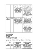 Prakses atskaite 'Sākumsizglītības prakse - vērošana', 5.