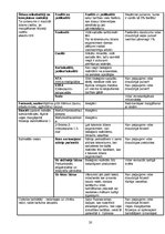 Referāts 'Veļas pulvera alerģiskā ietekme', 20.