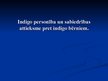 Prezentācija 'Indigo personība un sabiedrības attieksme pret indigo bērniem', 1.