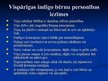 Prezentācija 'Indigo personība un sabiedrības attieksme pret indigo bērniem', 6.
