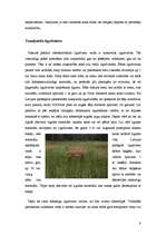 Referāts 'Ūdensputnu ligzdošanas apstākļu uzlabošana', 9.