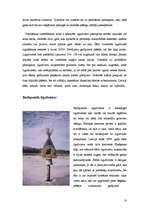 Referāts 'Ūdensputnu ligzdošanas apstākļu uzlabošana', 10.