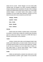 Referāts 'Mācīšanās stili', 5.