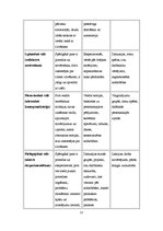 Referāts 'Mācīšanās stili', 11.