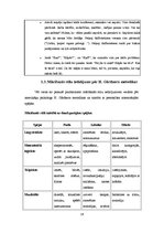 Referāts 'Mācīšanās stili', 16.