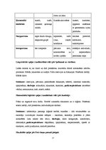 Referāts 'Mācīšanās stili', 17.