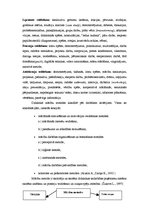 Referāts 'Mācīšanās stili', 36.