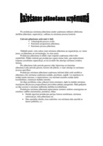 Prakses atskaite 'A/s "Aldaris"', 15.