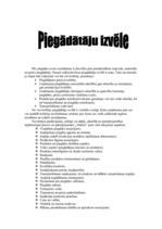 Prakses atskaite 'A/s "Aldaris"', 22.