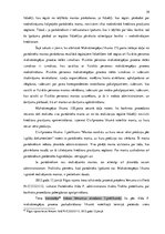 Diplomdarbs 'Fiziskās personas maksātnespējas procesa aktualitātes un problemātika', 33.