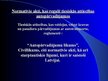 Prezentācija 'Autotransporta pasažieru pārvadājumi', 3.