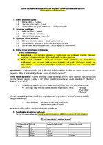 Konspekts 'Bērna runas pārbaude', 2.