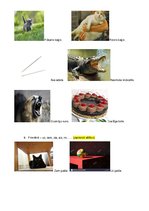 Konspekts 'Bērna runas pārbaude', 7.