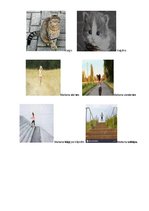 Konspekts 'Bērna runas pārbaude', 9.