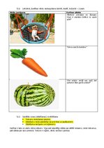 Konspekts 'Bērna runas pārbaude', 10.