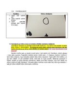 Konspekts 'Bērna runas pārbaude', 14.