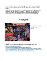 Eseja 'Analītiskā eseja par budismu', 3.