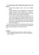 Konspekts 'Latvijas integrācija ES: vēsture, pašreizējā situācija, perspektīvas', 6.