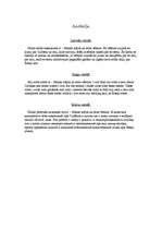 Referāts 'Manas mājas un ielas vēsture - Gulbene, Ābeļu iela', 21.