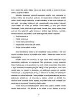 Referāts 'Starptautiskā valūtas tirgus raksturojums', 13.