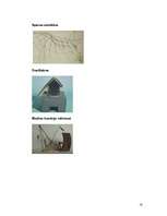 Referāts 'Leonardo Da Vinči', 18.