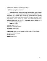 Referāts 'Leonardo Da Vinči', 22.