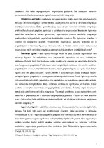 Konspekts 'Korporatīva un biznesa līmeņa stratēģijas', 7.