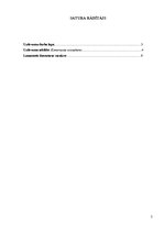 Konspekts 'Komersanta nosaukums', 2.