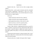 Referāts 'Sociālo tīklu loma cilvēku savstarpējo attiecību veidošanā', 38.