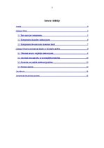 Referāts 'Kora dziesmas "Karalis un bērzlapīte" analīze', 3.