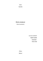 Eseja 'Sociālās reklāmas analīze, balstoties uz trim teorētiskās literatūras tēzēm', 1.