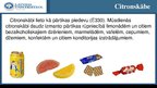Konspekts 'Citronskābe, Želena sveķi, e-vielas', 8.
