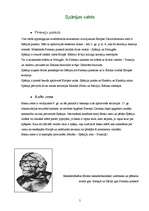 Referāts 'Spānija', 5.