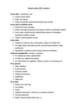 Konspekts 'Biznesa plāna struktūra', 1.