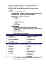 Konspekts 'Biznesa plāna struktūra', 3.