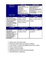 Konspekts 'Biznesa plāna struktūra', 4.