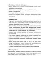 Konspekts 'Biznesa plāna struktūra', 5.