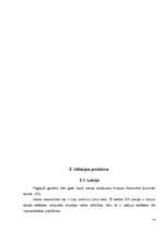 Referāts 'Inflācija Latvijā', 14.