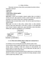 Diplomdarbs 'Mazo un vidējo uzņēmumu attīstības veicināšana Latvijā', 13.